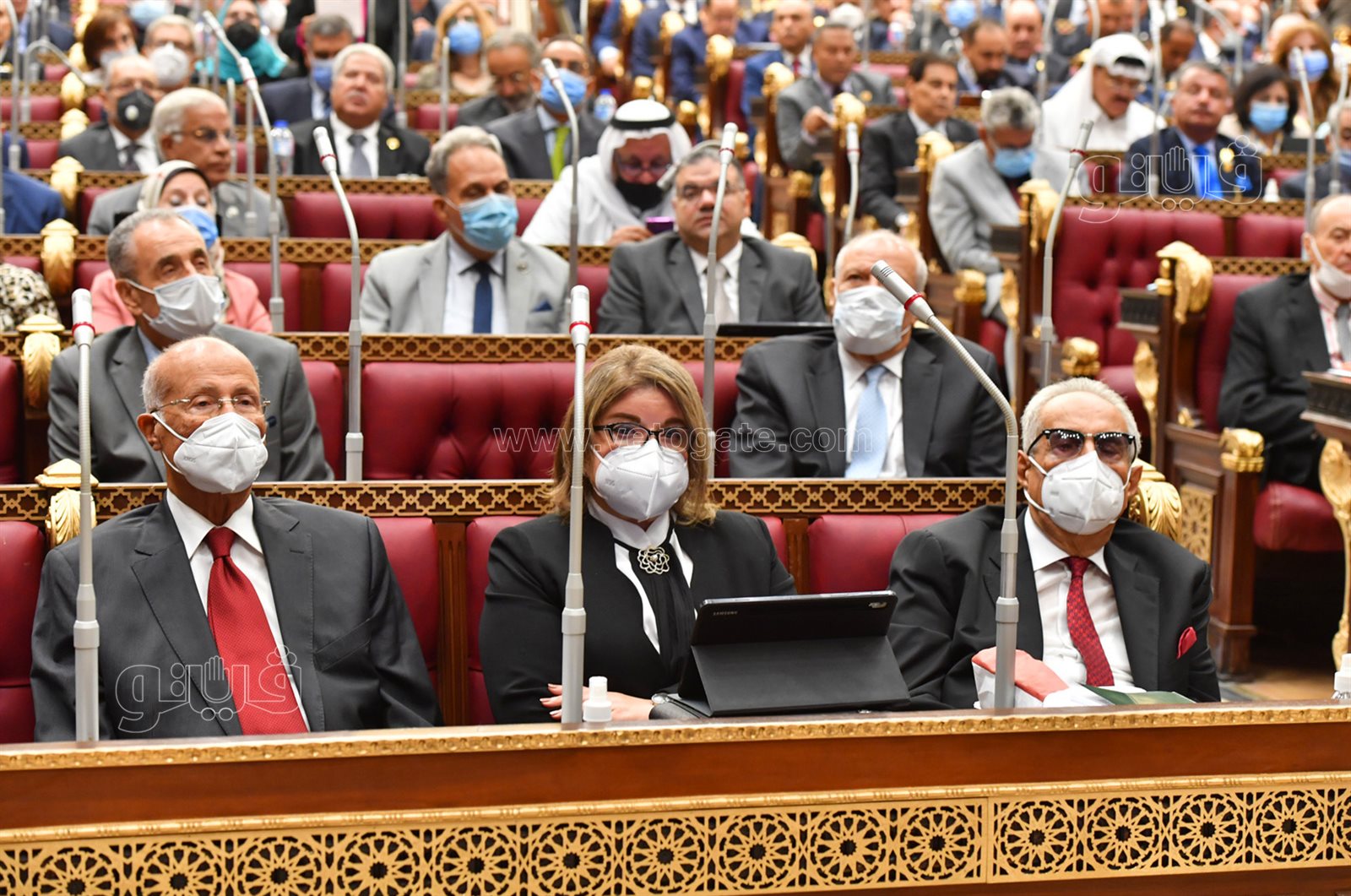 مجلس الشيوخ 24-10-2021 (11)