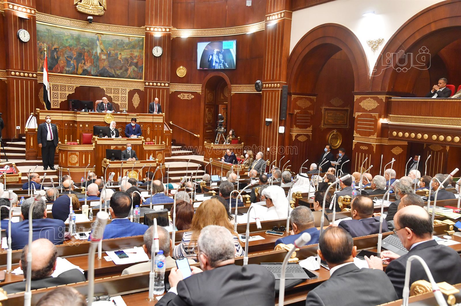 مجلس الشيوخ 24-10-2021 (13)