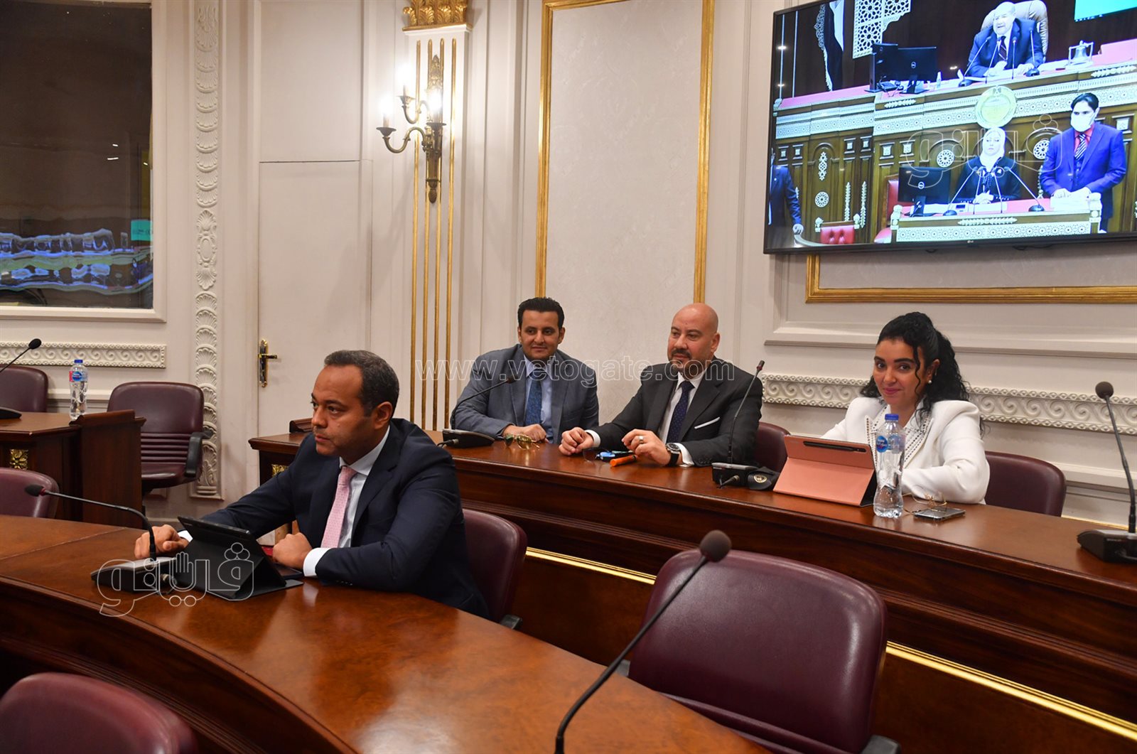 مجلس الشيوخ 24-10-2021 (15)