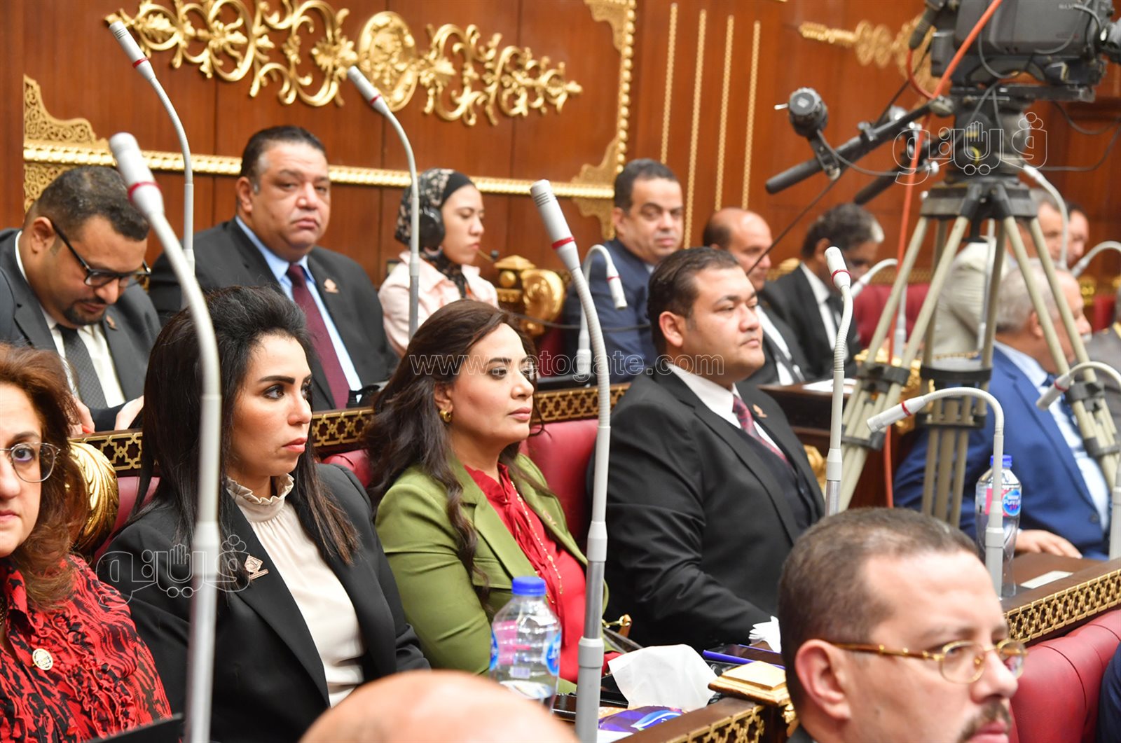 مجلس الشيوخ 24-10-2021 (16)