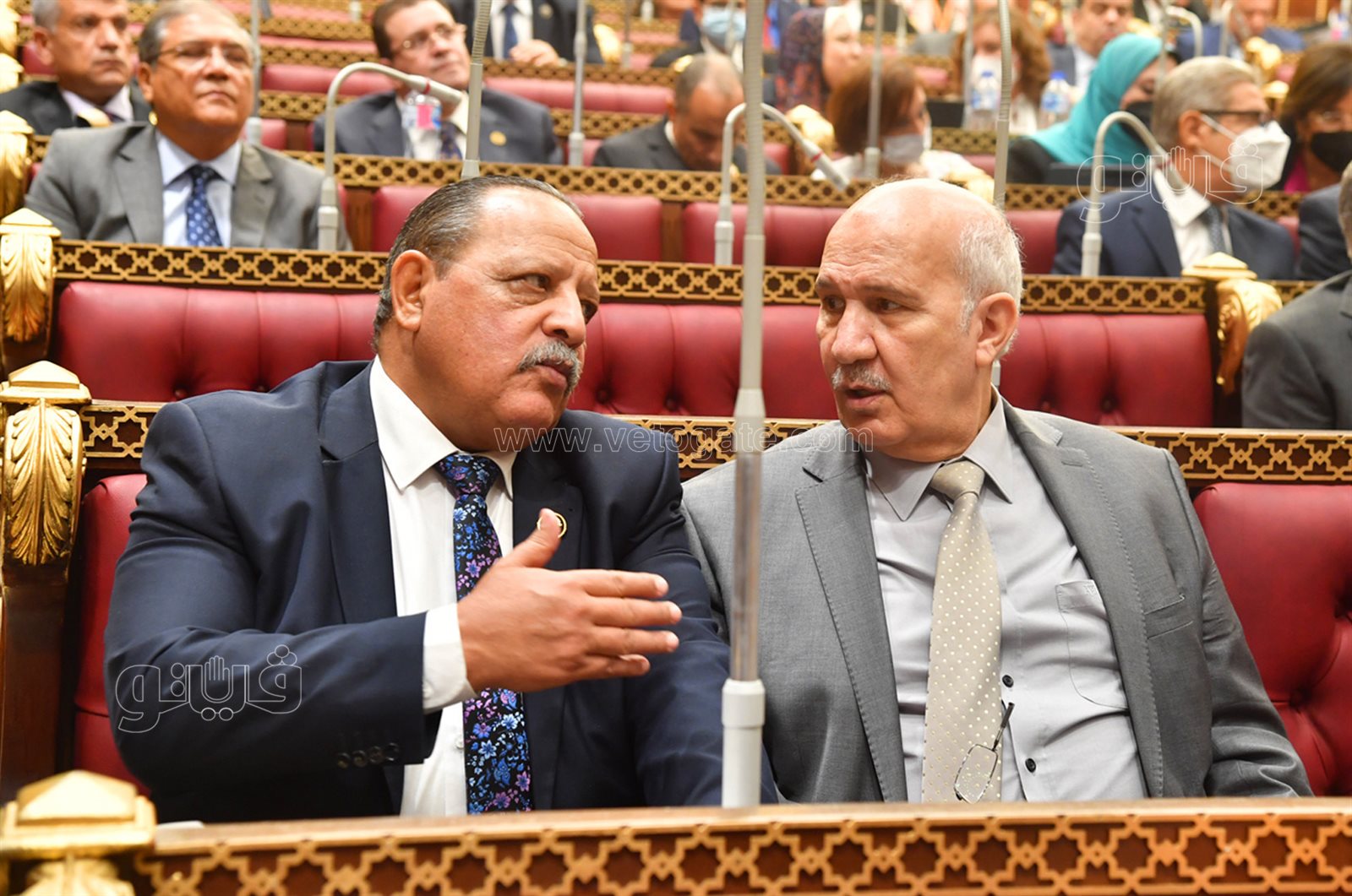 مجلس الشيوخ 24-10-2021 (18)