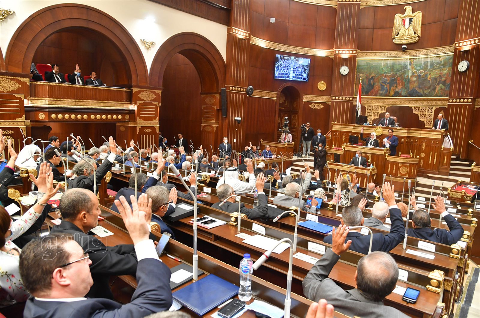 مجلس الشيوخ 24-10-2021 (19)