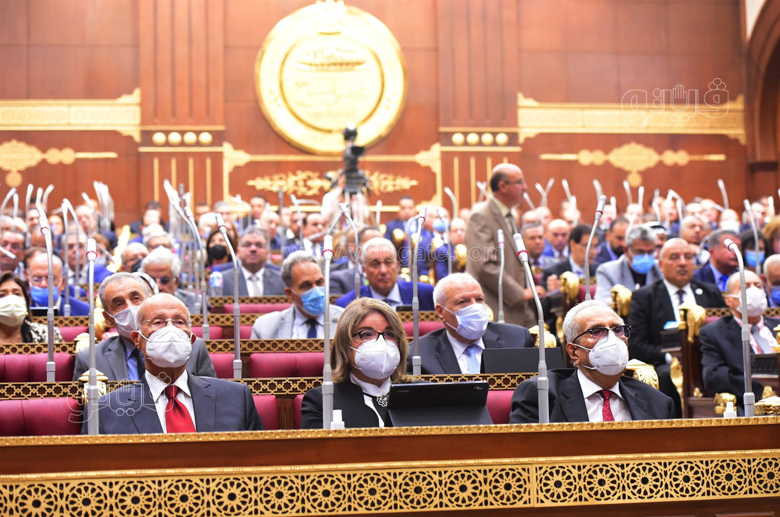 مجلس الشيوخ 24-10-2021 (23)