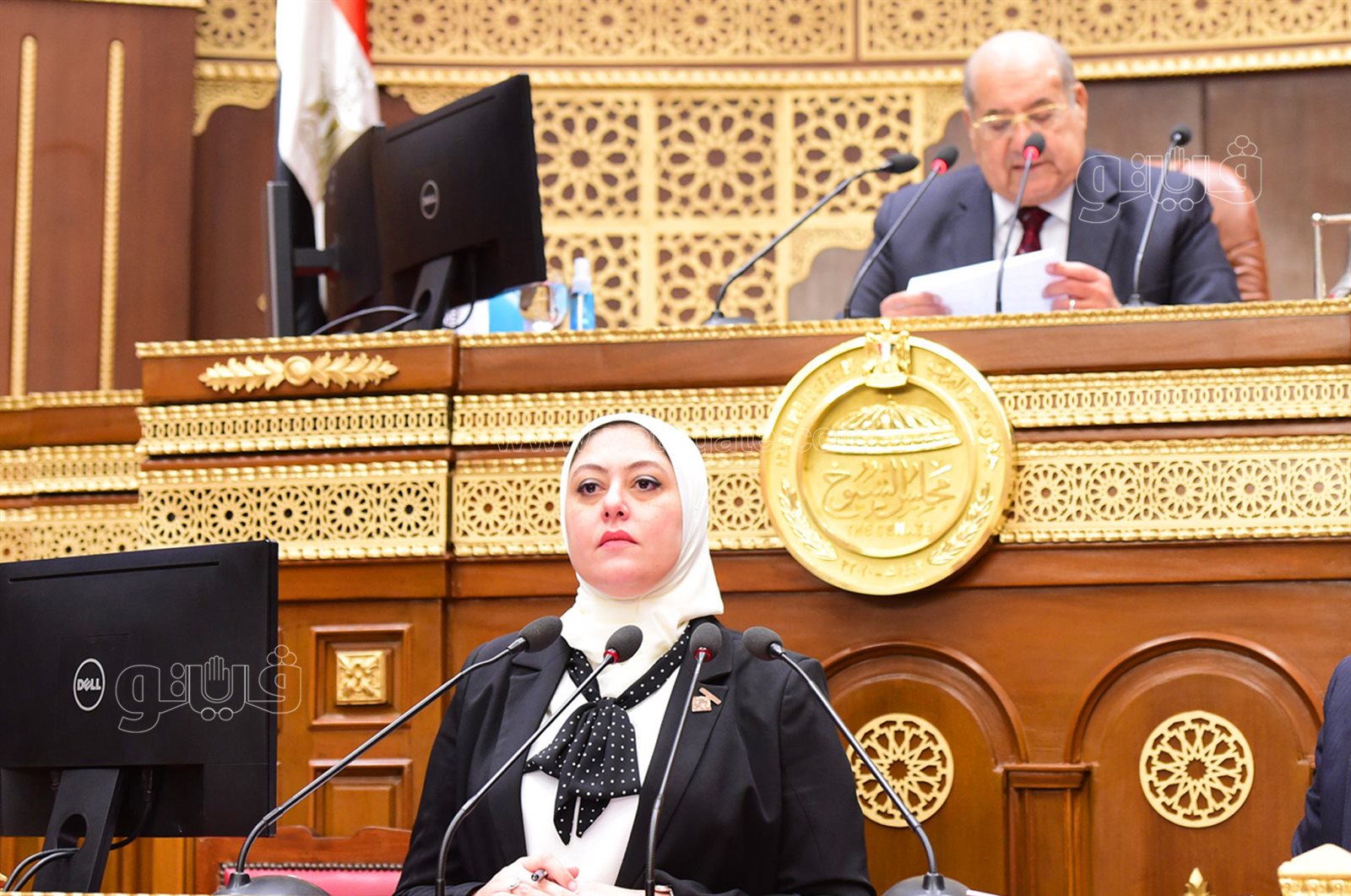 مجلس الشيوخ 24-10-2021 (24)