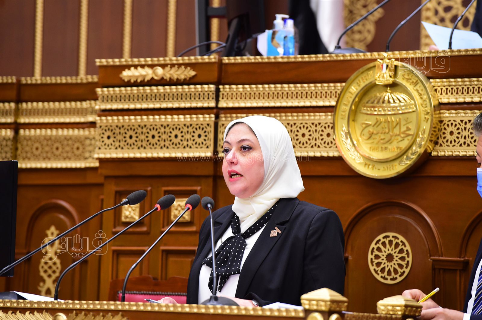 مجلس الشيوخ 24-10-2021 (25)