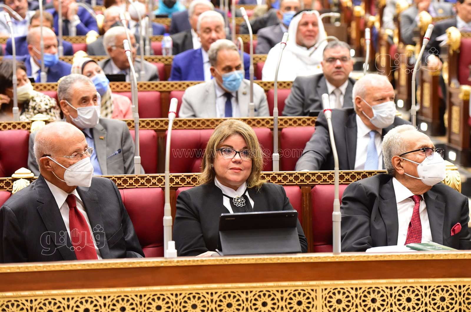 مجلس الشيوخ 24-10-2021 (28)