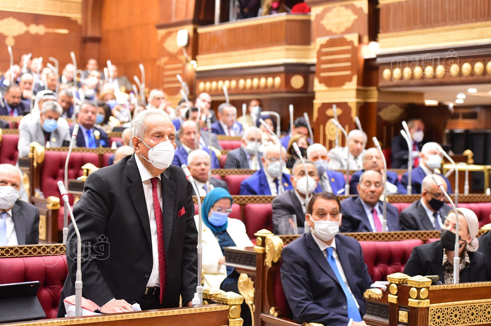 مجلس الشيوخ 24-10-2021 (31)
