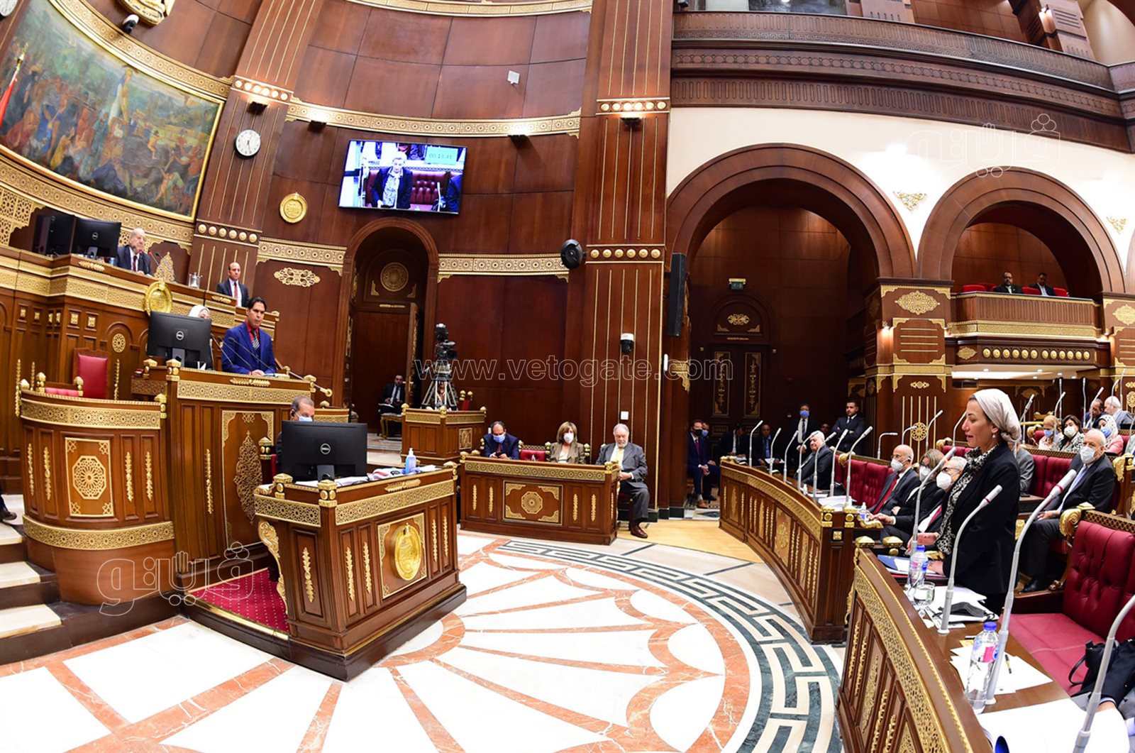 مجلس الشيوخ 24-10-2021 (36)