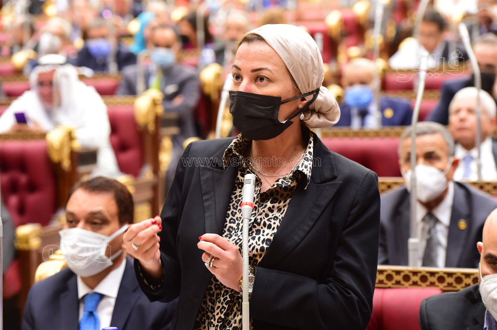 مجلس الشيوخ 24-10-2021 (39)