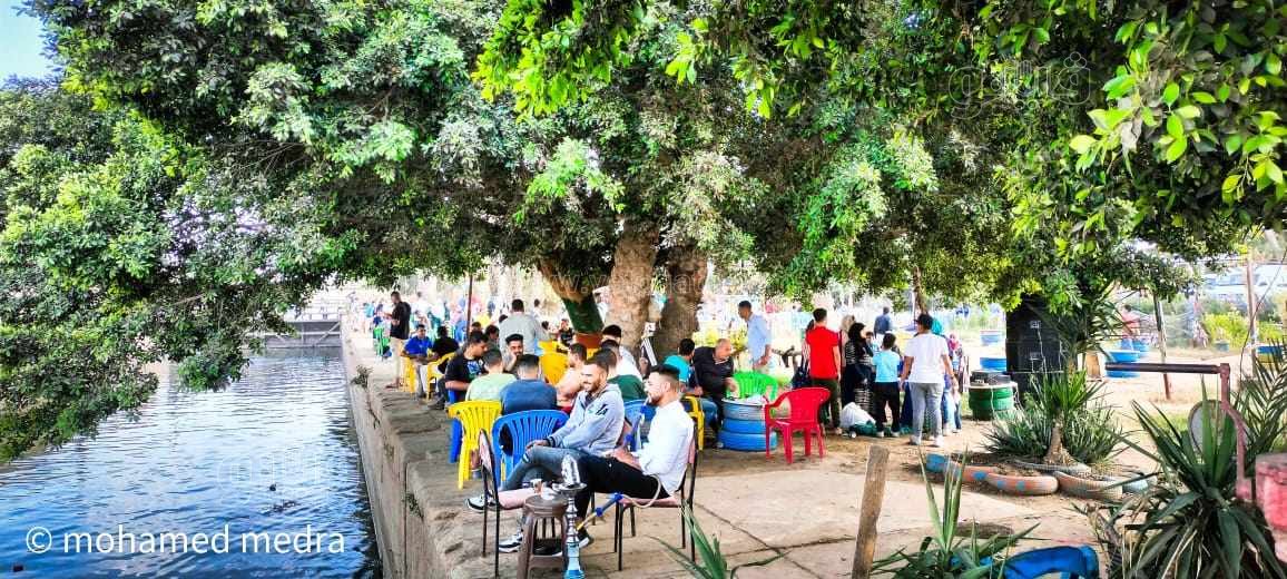  احتفال المنايفة بشم النسيم فى مالديف الغلابة (16)