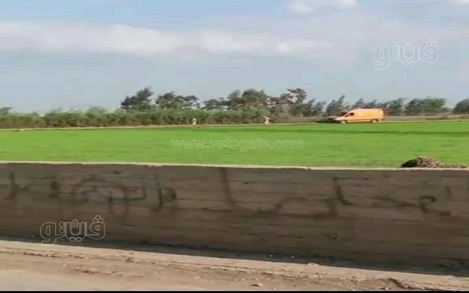 247524102_189946339950798_2141872001120741471_n