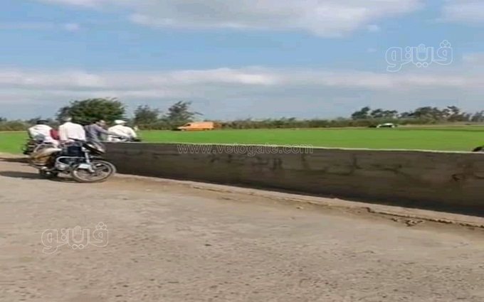 248181893_834408613897207_4753417648628092020_n