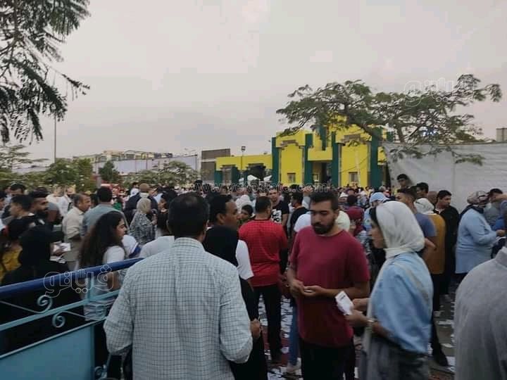 249561613_1914005765428236_8684035041593088905_n