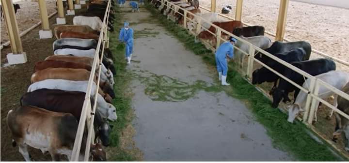 FB_IMG_1635449523474