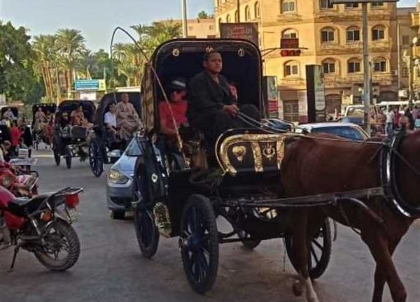 249742089_181063787550160_404761228089449663_n