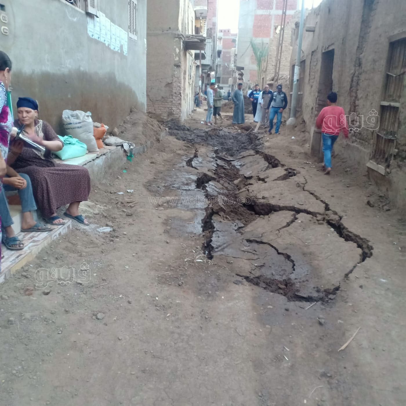 251422855_1211390509381234_8423261985519831719_n