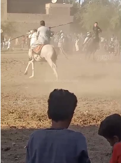 ، ابن عميد الخيالة يستعرض فنون الكر والفر في سباق الخيل (2)