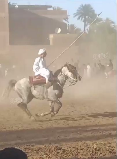 ، ابن عميد الخيالة يستعرض فنون الكر والفر في سباق الخيل (3)