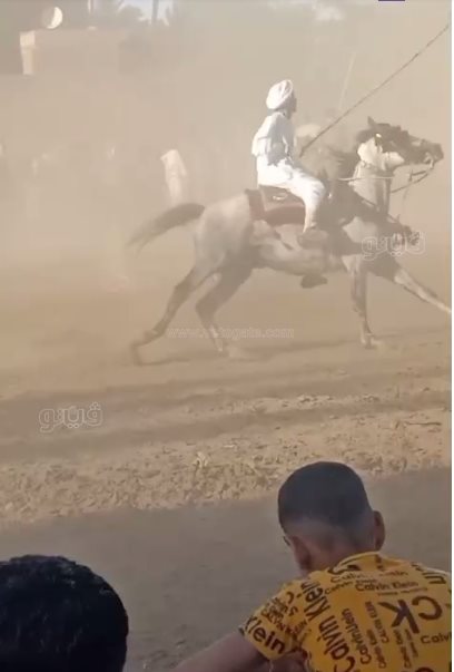 ، ابن عميد الخيالة يستعرض فنون الكر والفر في سباق الخيل (6)