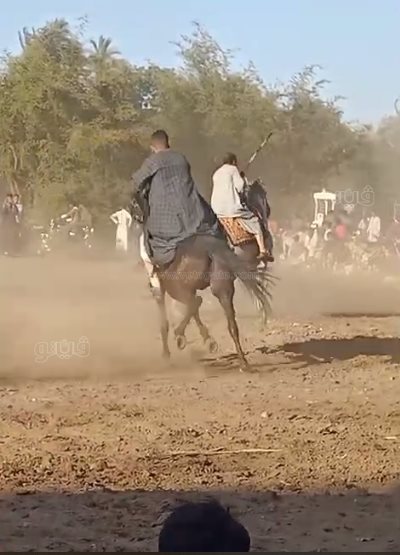 ، ابن عميد الخيالة يستعرض فنون الكر والفر في سباق الخيل (7)