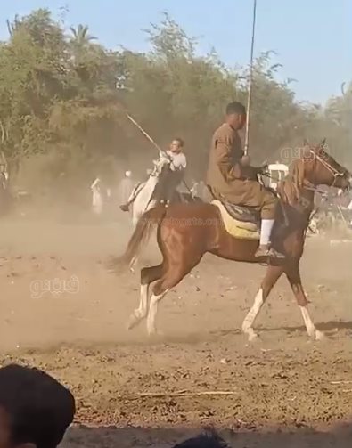 ، ابن عميد الخيالة يستعرض فنون الكر والفر في سباق الخيل (12)