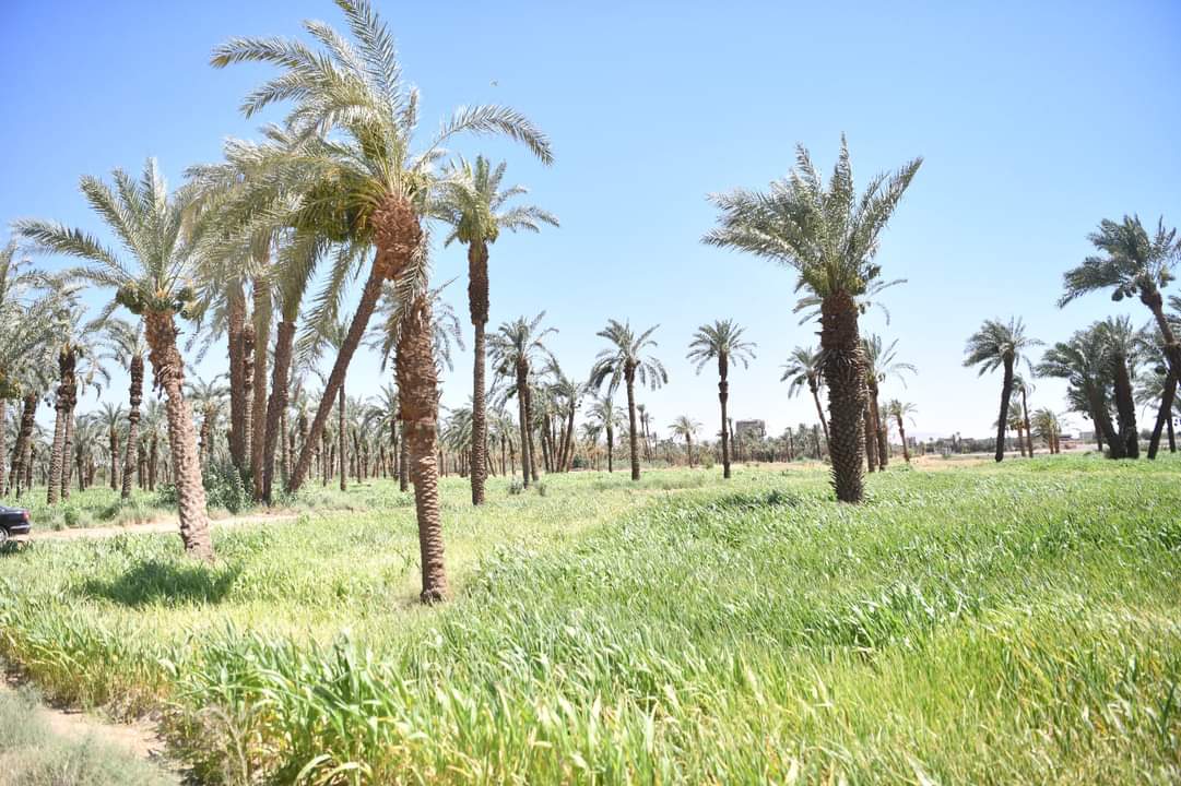 FB_IMG_1717710737079