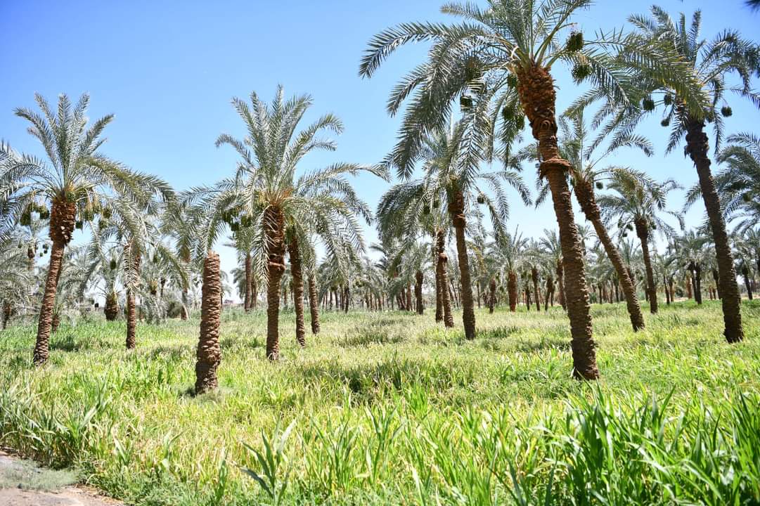 FB_IMG_1717710734440