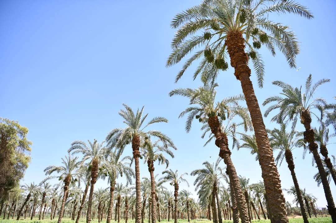 FB_IMG_1717710726369