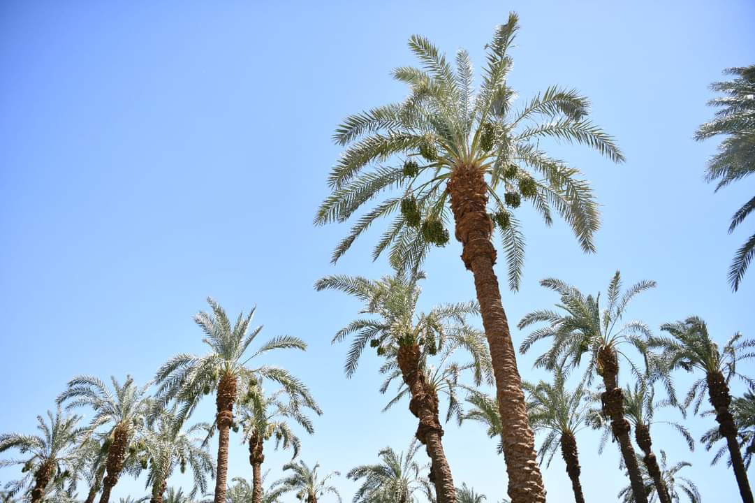 FB_IMG_1717710723805