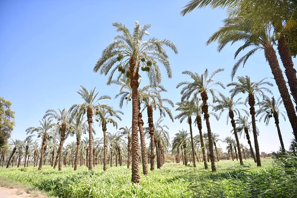 FB_IMG_1717710717425