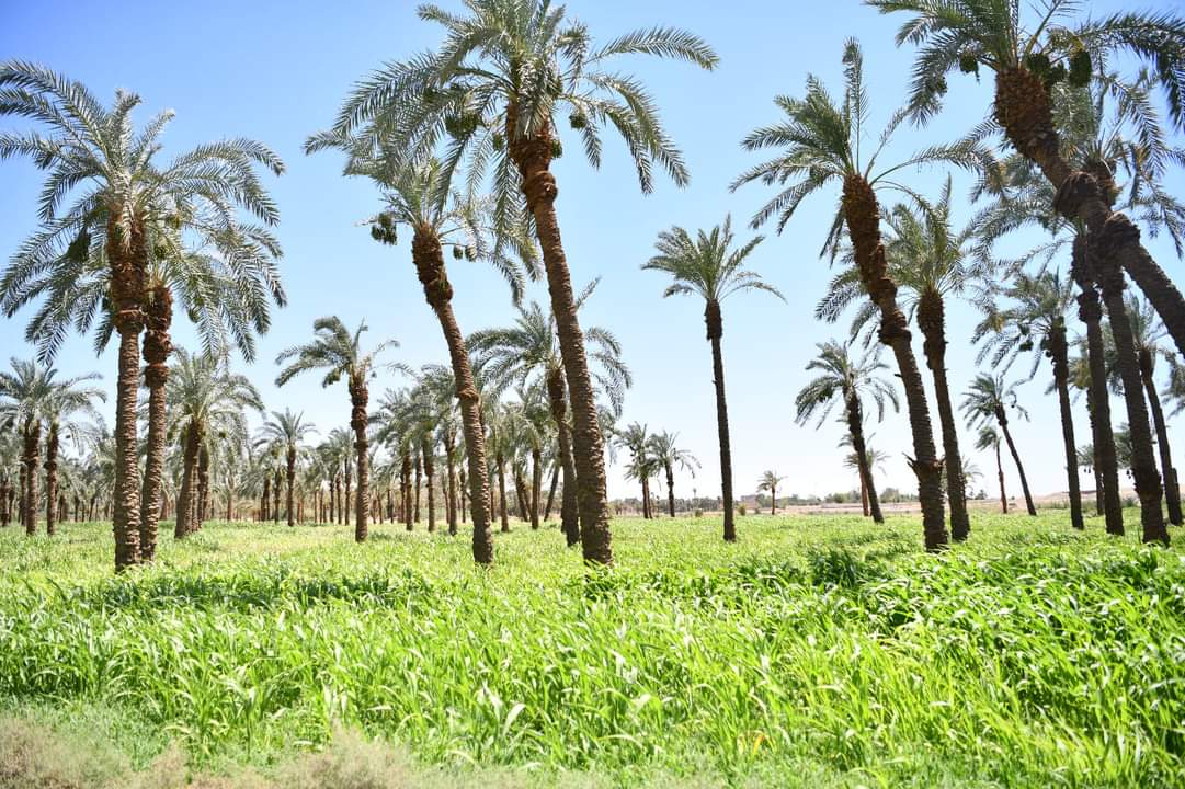 FB_IMG_1717710712965