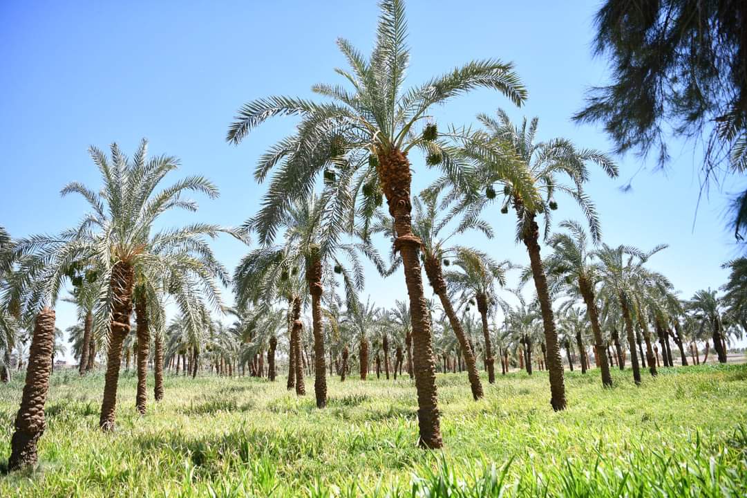 FB_IMG_1717710709667