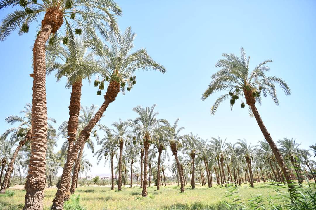 FB_IMG_1717710700644