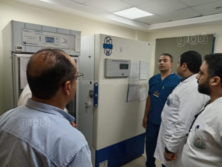 انتظام العمل بمستشفى 30 يونيو ببورسعيد (6)