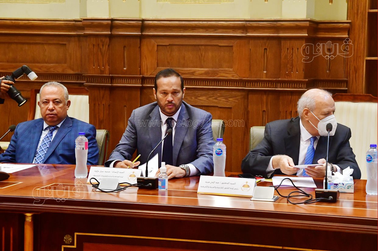 اجتماع اللجنة العامة (2)