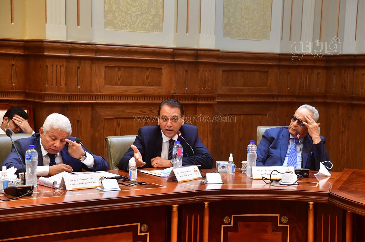 اجتماع اللجنة العامة (10)