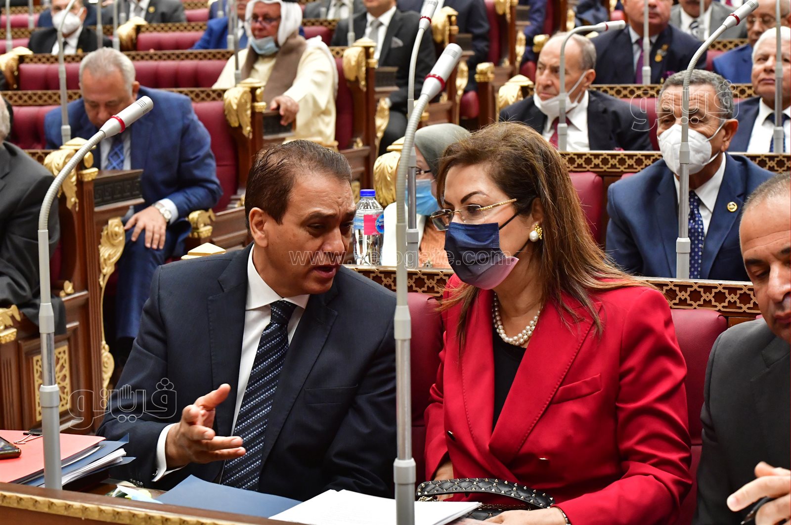 مجلش الشيوخ (3)