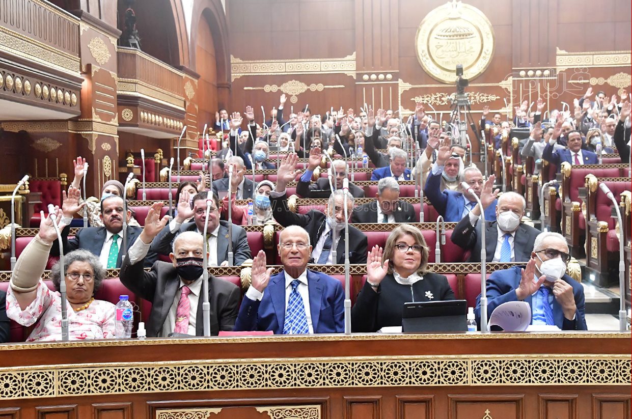 مجلش الشيوخ (22)