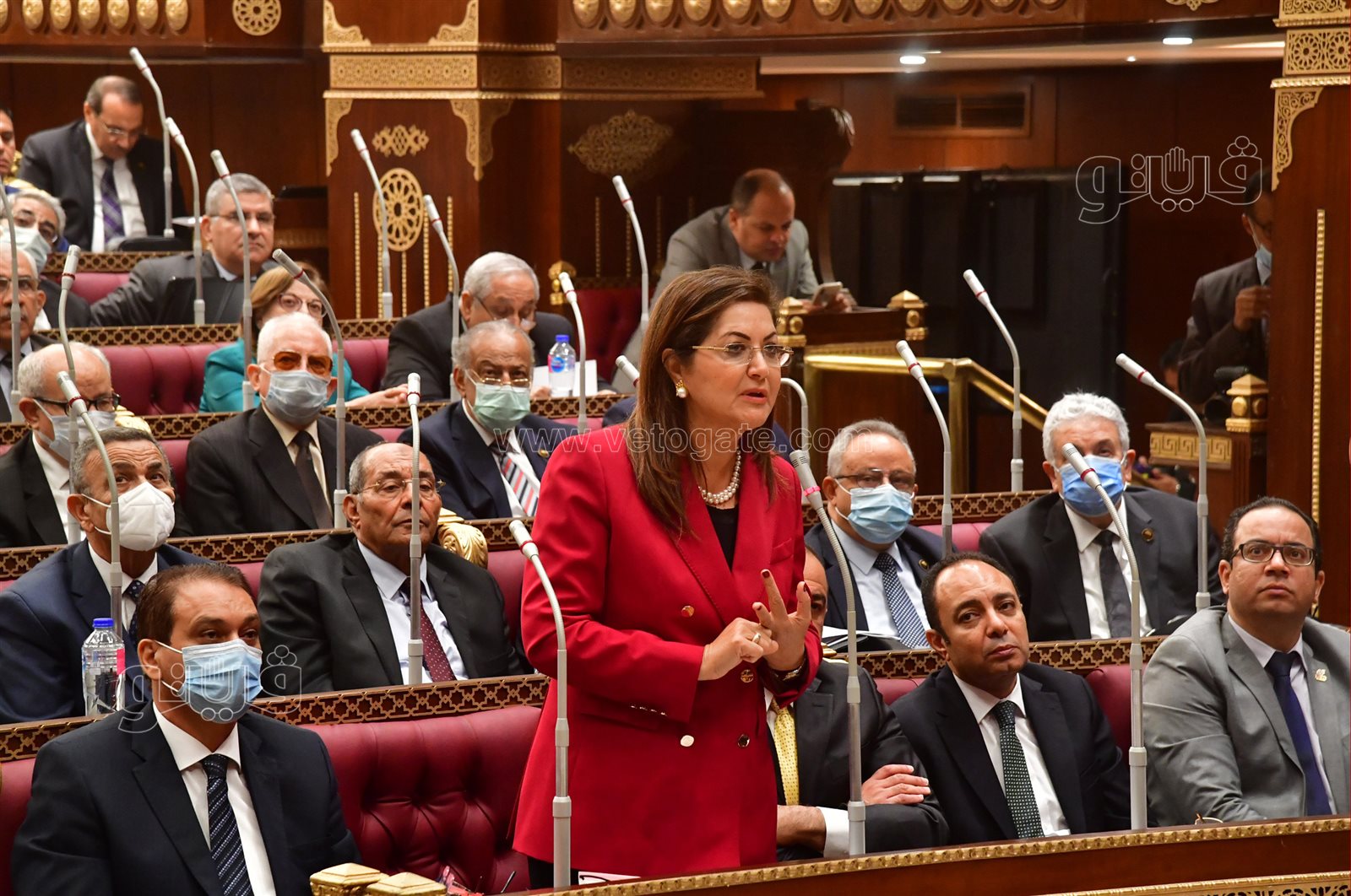 مجلش الشيوخ (8)