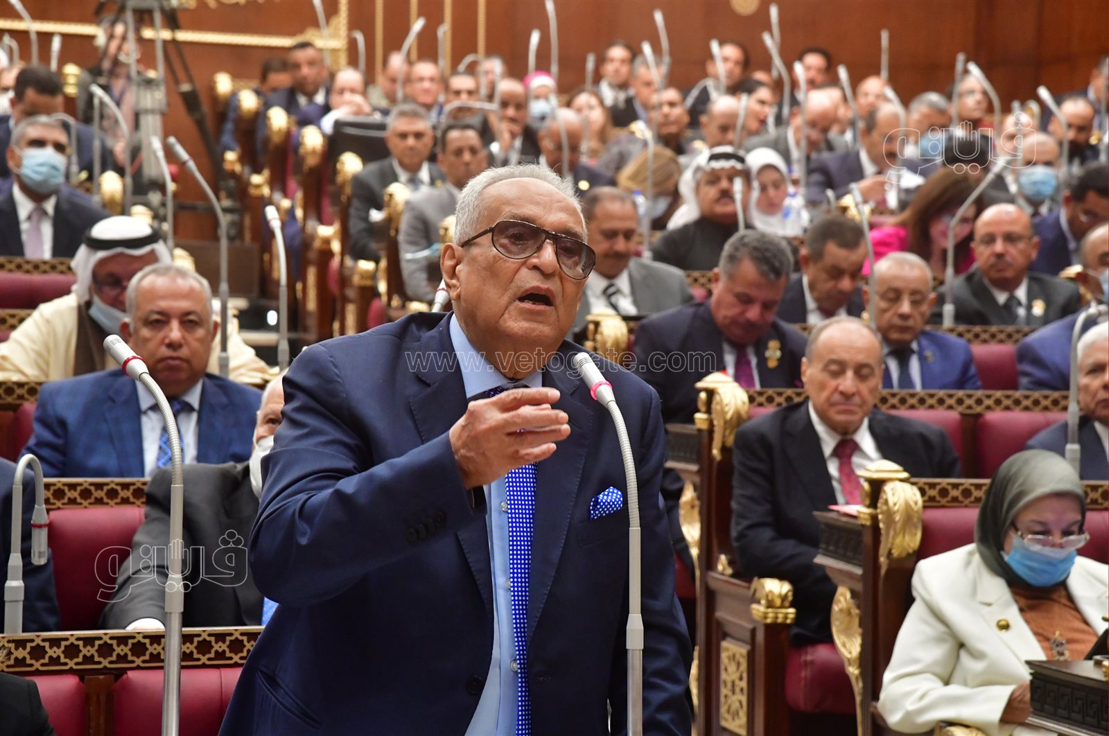 مجلش الشيوخ (9)