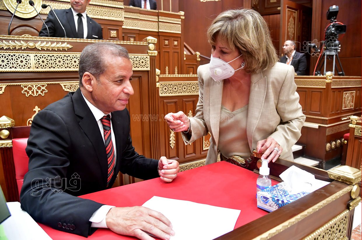 مجلش الشيوخ (28)