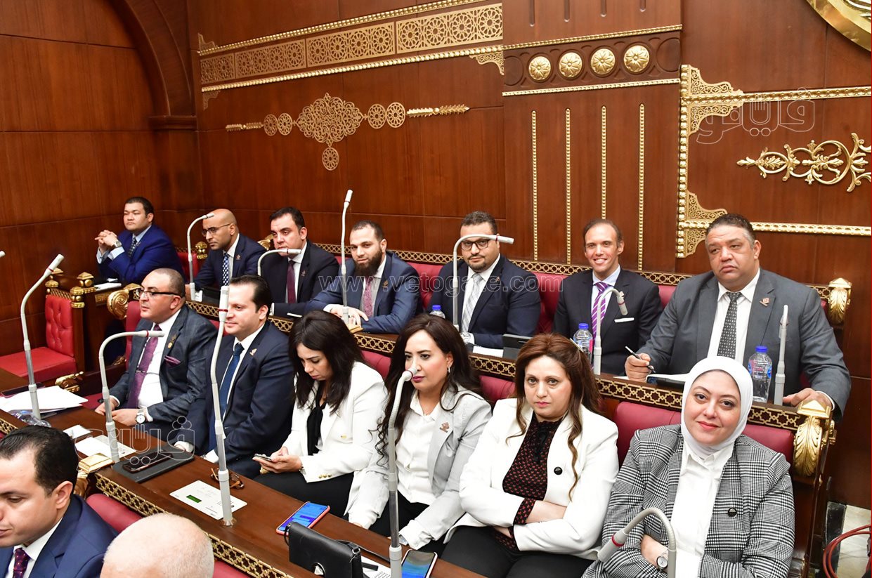 مجلش الشيوخ (14)