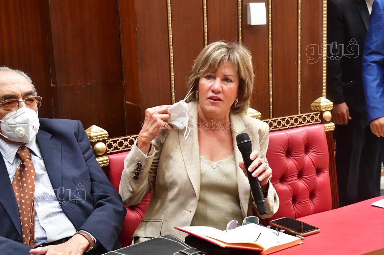 مجلش الشيوخ (16)