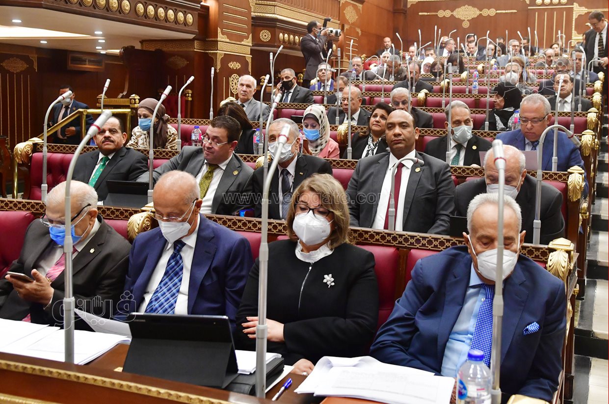 مجلش الشيوخ (25)