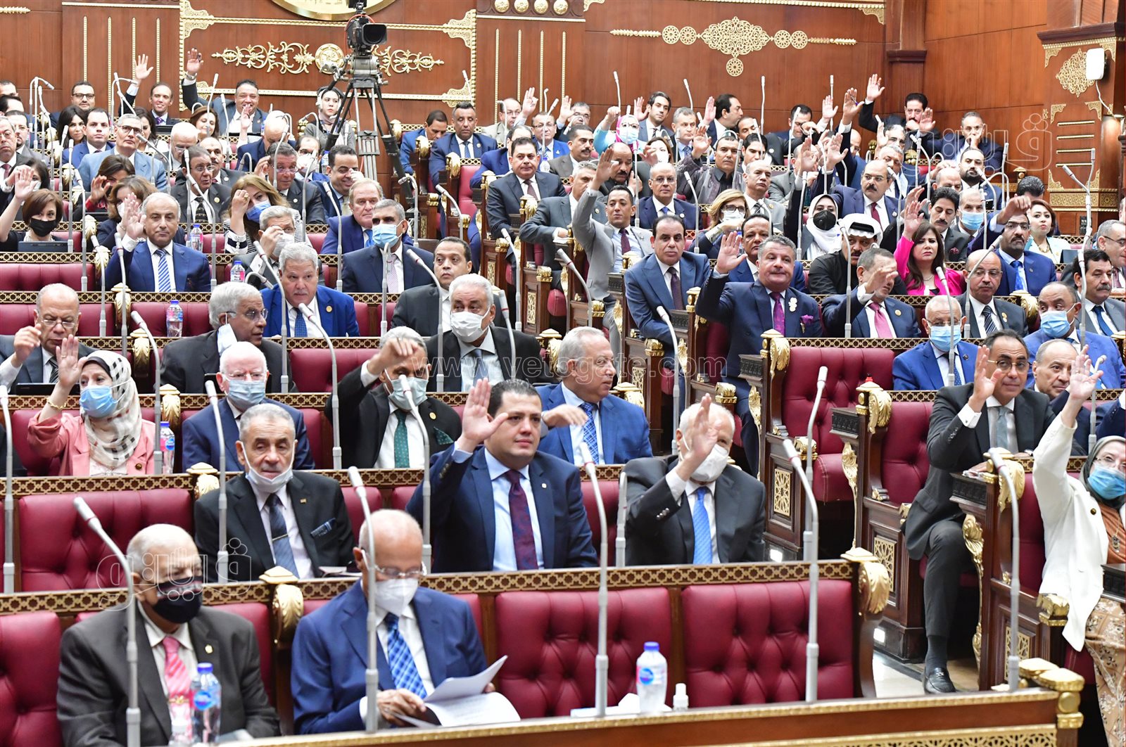 مجلش الشيوخ (34)