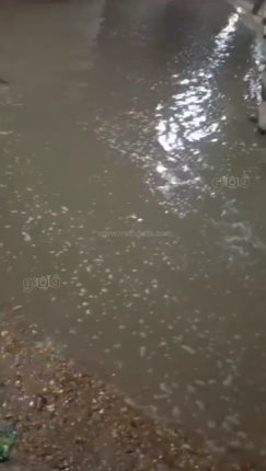 مياه الصرف تغرق شارعًا كاملا بفاقوس (3)