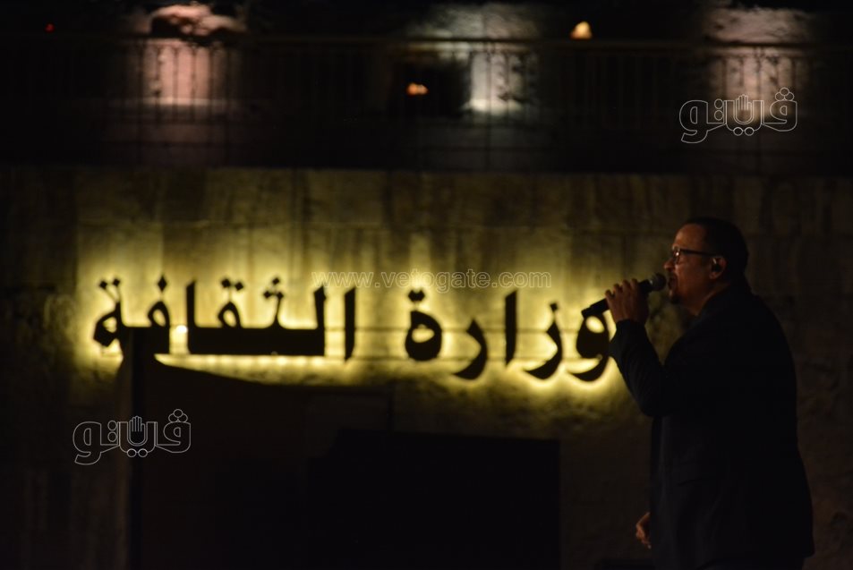 هشام عباس (37)