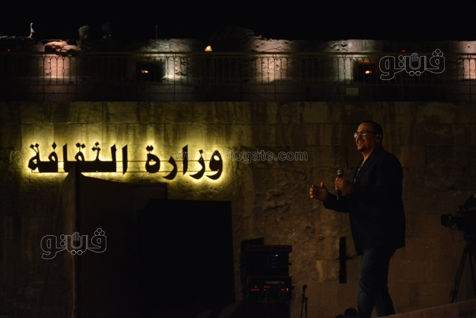 هشام عباس (38)