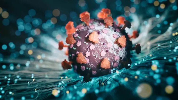 فيروس كورونا