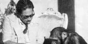 نيازى مصطفى مع القرد بطل آخر افلامه